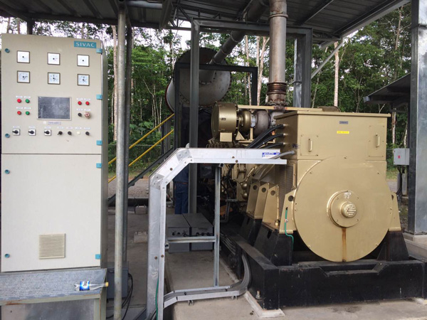 Động cơ Diesel dòng 6000